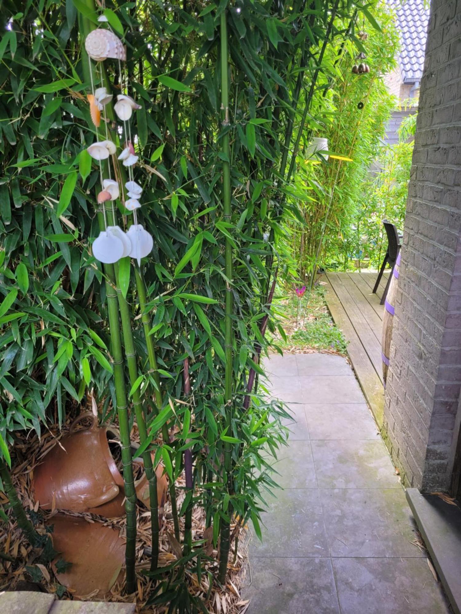 Purple Papillon Villa Heuvelland Exterior foto